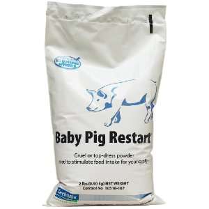  Baby Pig Restart One 4   2 lb