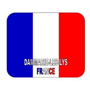  France, Dammarie les Lys mouse pad 