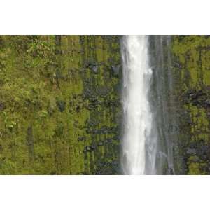  Akaka Falls, Hamakua Coast, Hawaii, USA by Savanah Stewart 