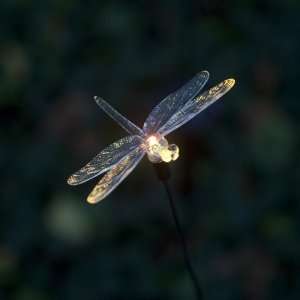  Color Changing LED Solar Mini 4 Dragonfly Flexible Garden 