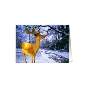  Christmas reindeer with red nose standing in snow Card 