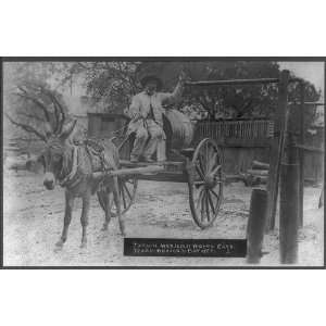    Mexican Water Cart,donkey,Texas,Mexico,border,c1915