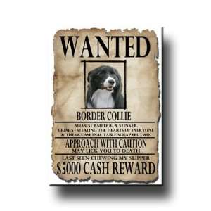  Border Collie Wanted Fridge Magnet No 1 