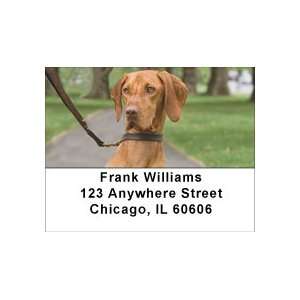  Loyal Hungarian Vizsla Address Labels