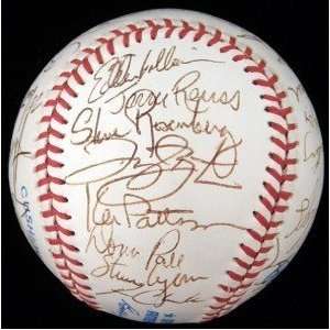  1989 White Sox Team 27 SIGNED Brown MLB Baseball Sports 