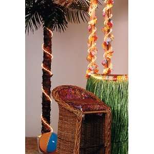  Clear Rope Lights   Party Decorations & Lighting & Special 