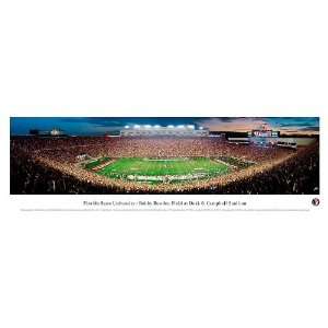   Field at Doak S. Campbell Stadium Unframed Print