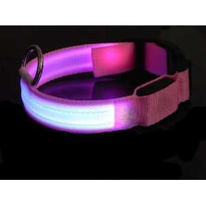 Pink Nylon Webbing Dog Collar with Red Fiber Optical Led Lights, Multi 