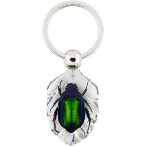   / Clear Acrylic with Embedded Real Insect Key Ring 