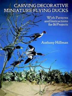   for 16 Projects by Anthony Hillman, Dover Publications  Paperback