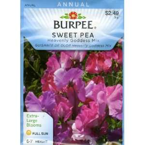  Burpee 42111 Sweet Pea Heavenly Goddess Mix Seed Packet 