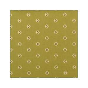  Duralee 42141   21 Avocado Fabric Arts, Crafts & Sewing