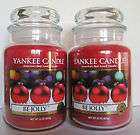 Yankee Candle FIRESIDE 22 0Z  