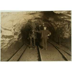  Coal Co.,Pasquale Salvo,Sandy Castina,Pittston,PA,1911 