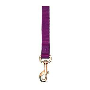  3/4 X 6ft 1 ply Nylon Lead, Color Red, Size 6 Pet 