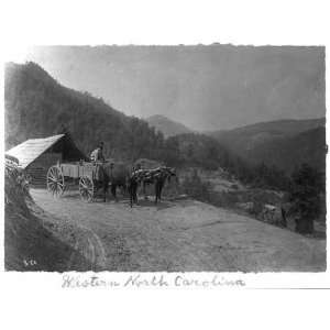  Ox drawn wagon,road,Western North Carolina,NC,c1915