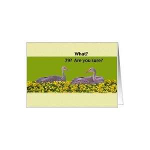  79th Birthday Card with Two Sandhill Cranes Card Toys 
