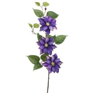  32.5 Clematis Spray Purple (Pack of 12)