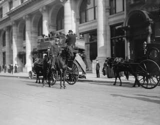   1905 MOUNTED POLICEMAN NEW YORK CITY THE BIG APPLE LAW HORSES  