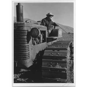  Benji Iguchi on tractor,Manzanar Relocation Center 
