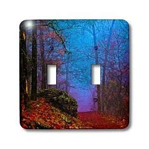  Fog In Autumns Forest   Light Switch Covers   double toggle switch