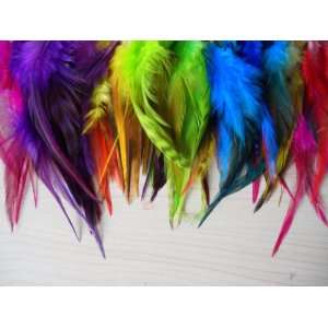  100 Colorful Rooster Feather Hair Extensions Beauty