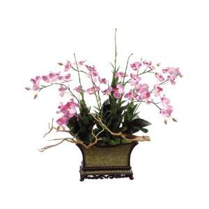  36hx40wx24l Phalaenopsis/Wood Branch in Container 