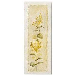  Garden Delight Chrysantuemum    Print