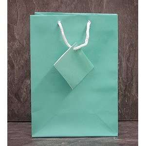   100 Glossy Teal Blue Jewelry Shopping Bag Tote 6 3/4H