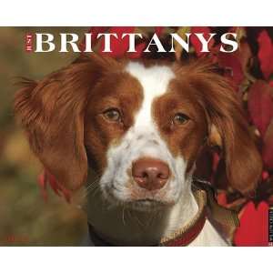  Brittanys 2013 Wall Calendar