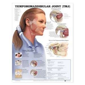 Temporomandibular Joint (TMJ)   Paper  Industrial 