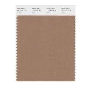  PANTONE SMART 17 1322X Color Swatch Card, Burro