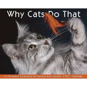  Why Cats Do That 2011 Wall Calendar
