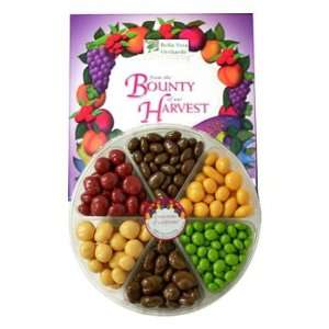 Pastel Chocolate Fruits and Nuts, 2lb Grocery & Gourmet Food