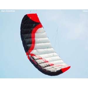 kite] dual line parafoil kite power kite 3sqm trainer kite sport kite 