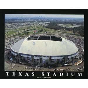    NFL Dallas Cowboys Texas Stadium Aerial Picture