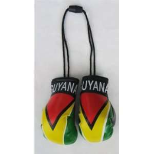  Guyana   Mini Boxing Gloves Automotive
