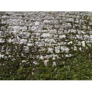  Detailed View of the Stone Wall at Brolio Castle, Tuscany 
