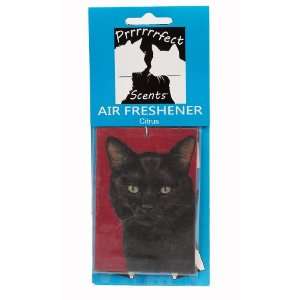  Prrrrrrfect Scents Black Cat Air Freshener, Citrus Pet 