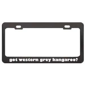 Got Western Grey Kangaroo? Animals Pets Black Metal License Plate 