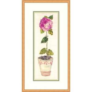  Pretty In Pink by Hazel Burrows   Framed Artwork