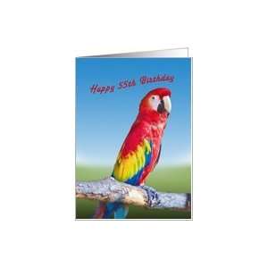  Birthday, 55th, Macaw Parrot Card Toys & Games