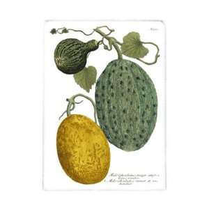  Antique Melons II by Weimann 10x14