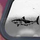 Great White Shark Decal Scuba Diver Dive Car Sticker