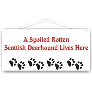Spoiled Rotten Scottish Deerhound Lives Here