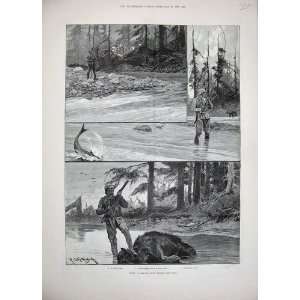   Sport Alaska Salmon Bear Hunting River Man Fishing