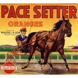  Lindsay, Tulare County Pacesetter Race Horse Orange Citrus 