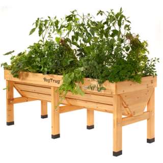 VegTrug Greenhouse Frame & PE Cover For Vegetable, Plant and Herb 
