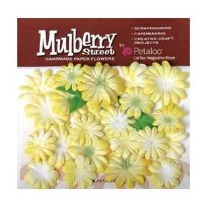   Paper Tie Dye Small Daisies 24/Pkg   Yellow Arts, Crafts & Sewing