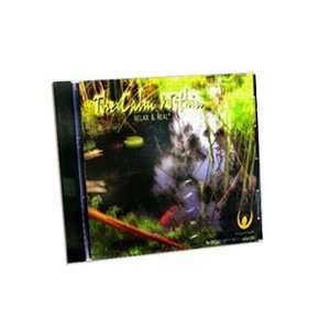  The Calm Within   Relaxation and Visualization CD Health 